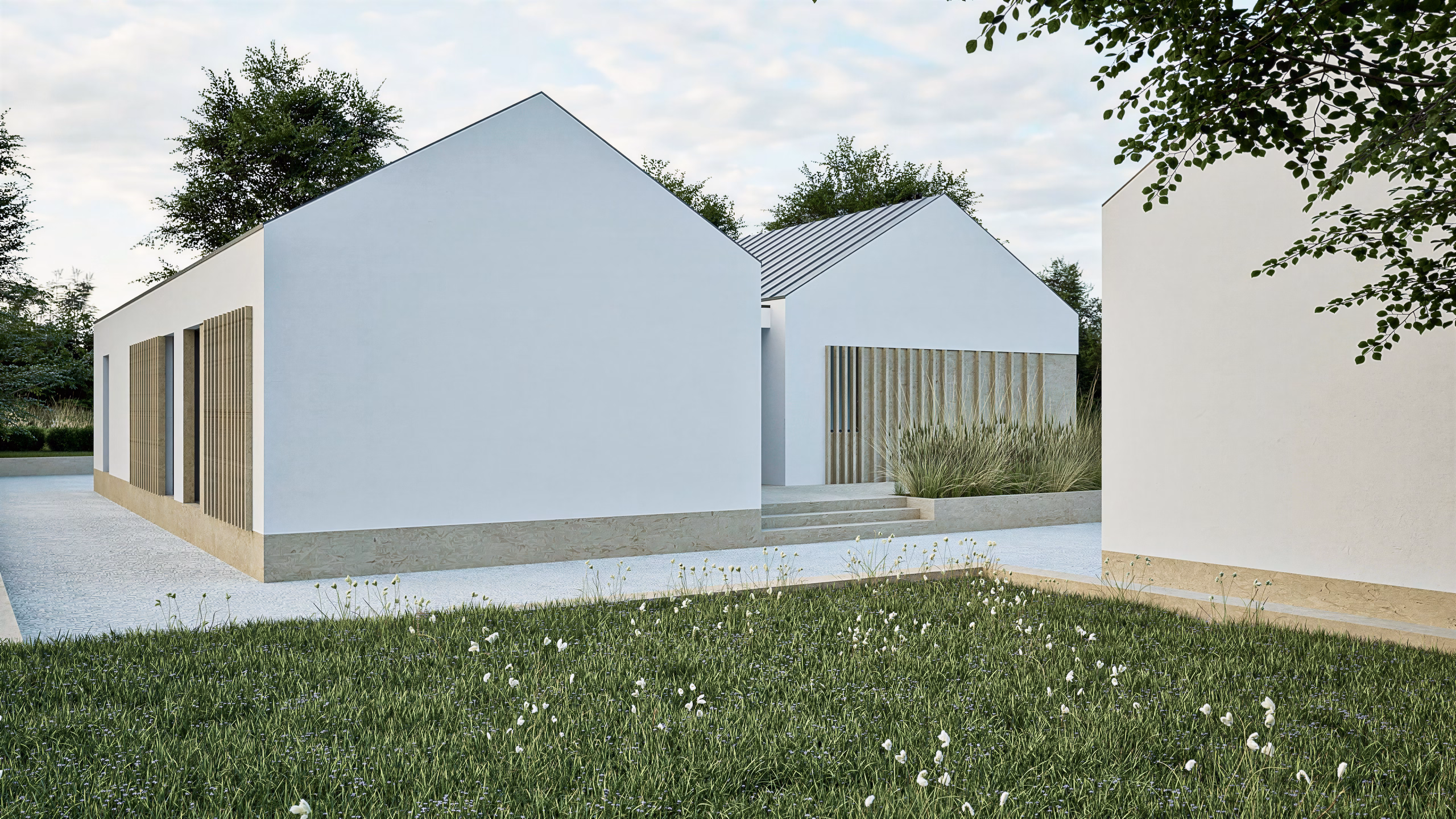 Inniskeen House – detaliu locuință contemporană rurală, arhitectură Iconic Design